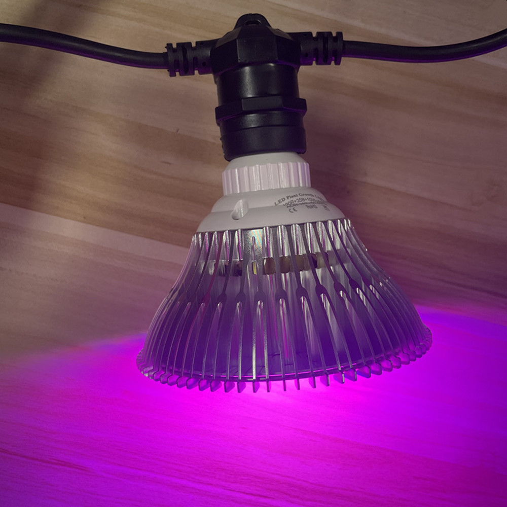 10M Cable LED String Commercia - Waterproof Led Strip recensione e prezzo