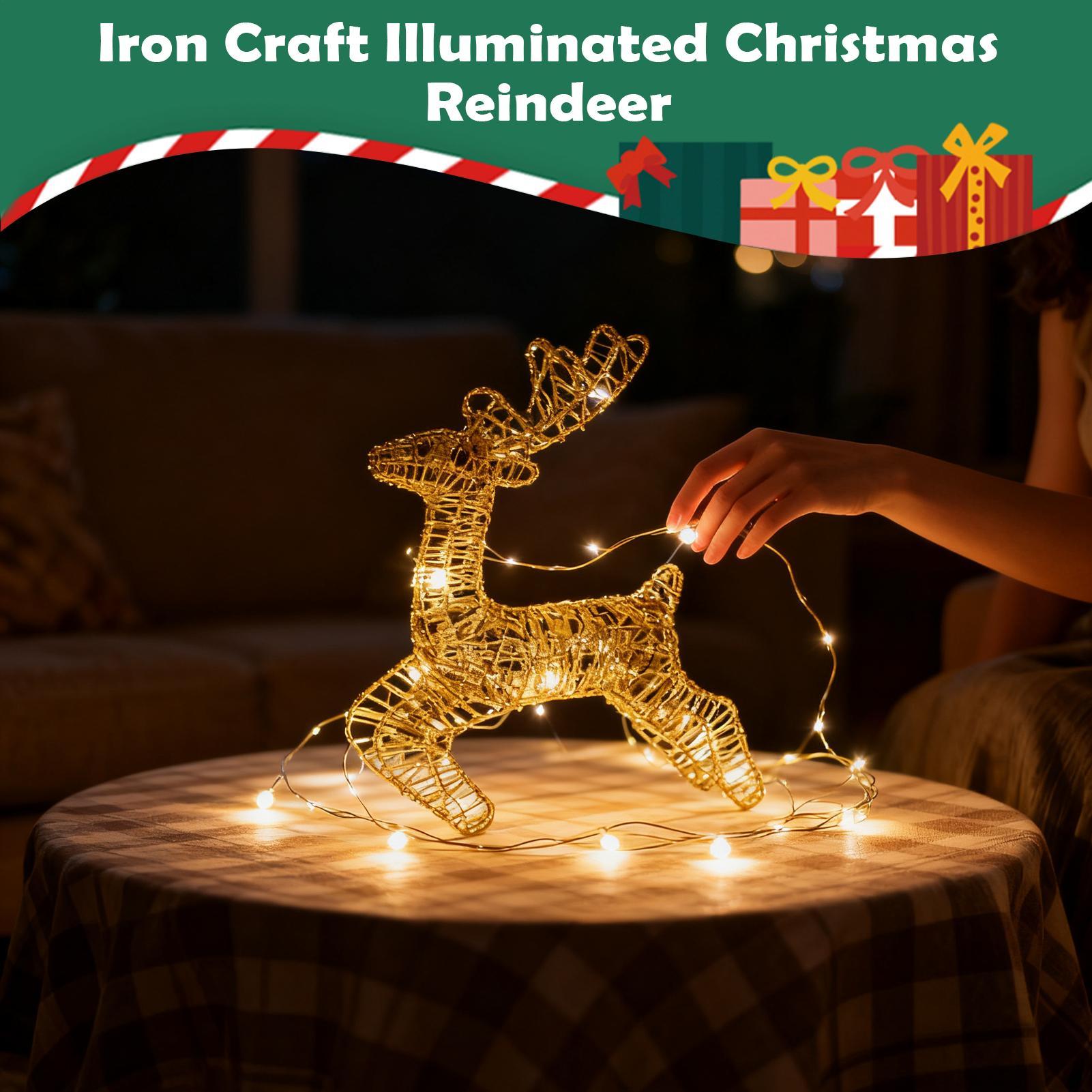 Lighted Christmas Deer Glitter - Outdoor Lighting Front Yard recensione e prezzo