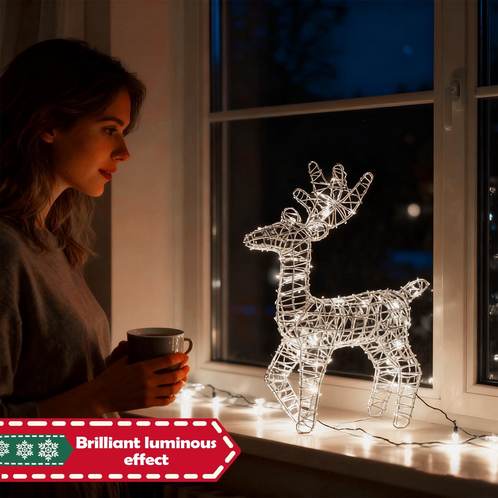 Lighted Christmas Deer Glitter - Outdoor Lighting Front Yard recensione e prezzo