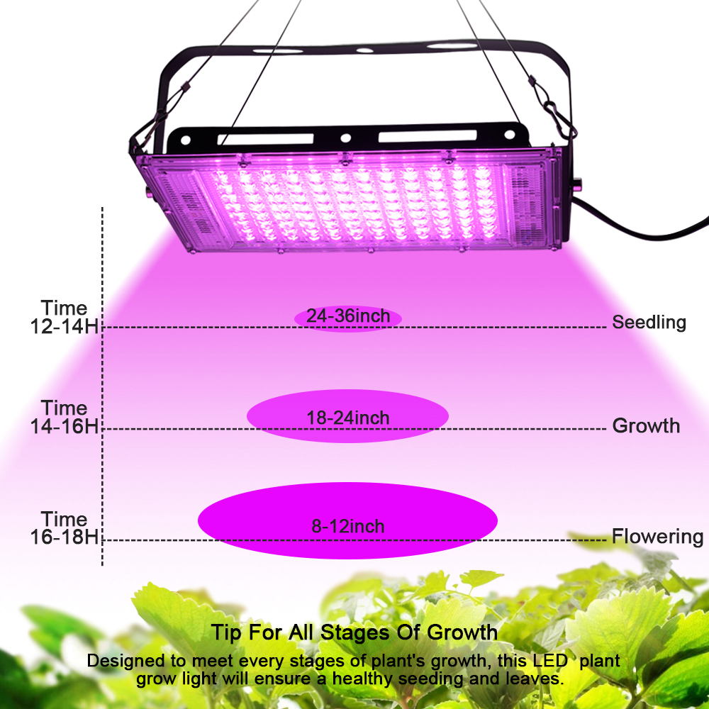 Full Spectrum LED Grow Light P - Zumtobel Outdoor Lighting recensione e prezzo